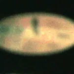 Z 99 - Welcome To Paradise (Nightfly Vers.) - Sample art work