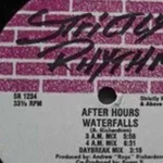 After Hours - Waterfalls (4am Mix) - Strictly Rhythm - 1991 - Sound art work