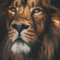 RusselTBeats's display picture