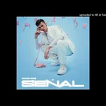 Robleis - SEÑAL- Acapella Full Hd - Sound art work