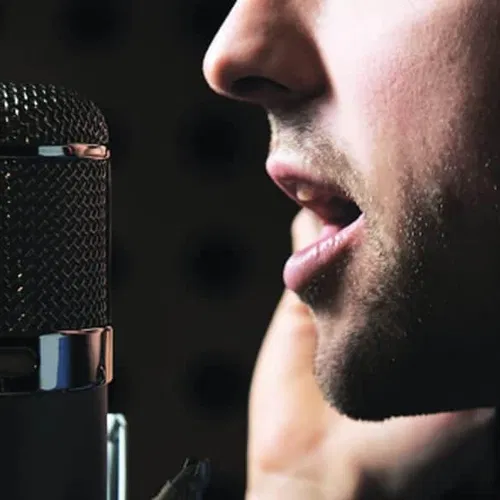 Vocal Textures - Model art work