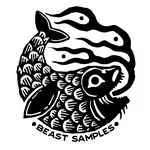 beastsamples's display picture
