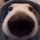 gloop's display picture