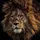 ngarnaud049's display picture