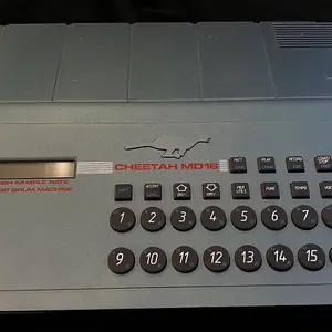 Cheetah - pack art work