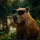 gdfhgfddfghg's display picture