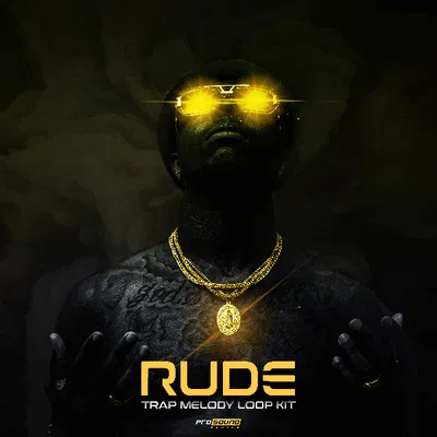 'Rude' Trap Melody 20 - Sample art work
