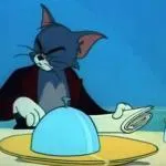 Alabafruit's display picture