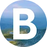 bronicable's display picture