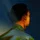 blakesanders83.jr's display picture