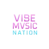 vibemvsicnation's display picture