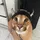 xhern227's display picture