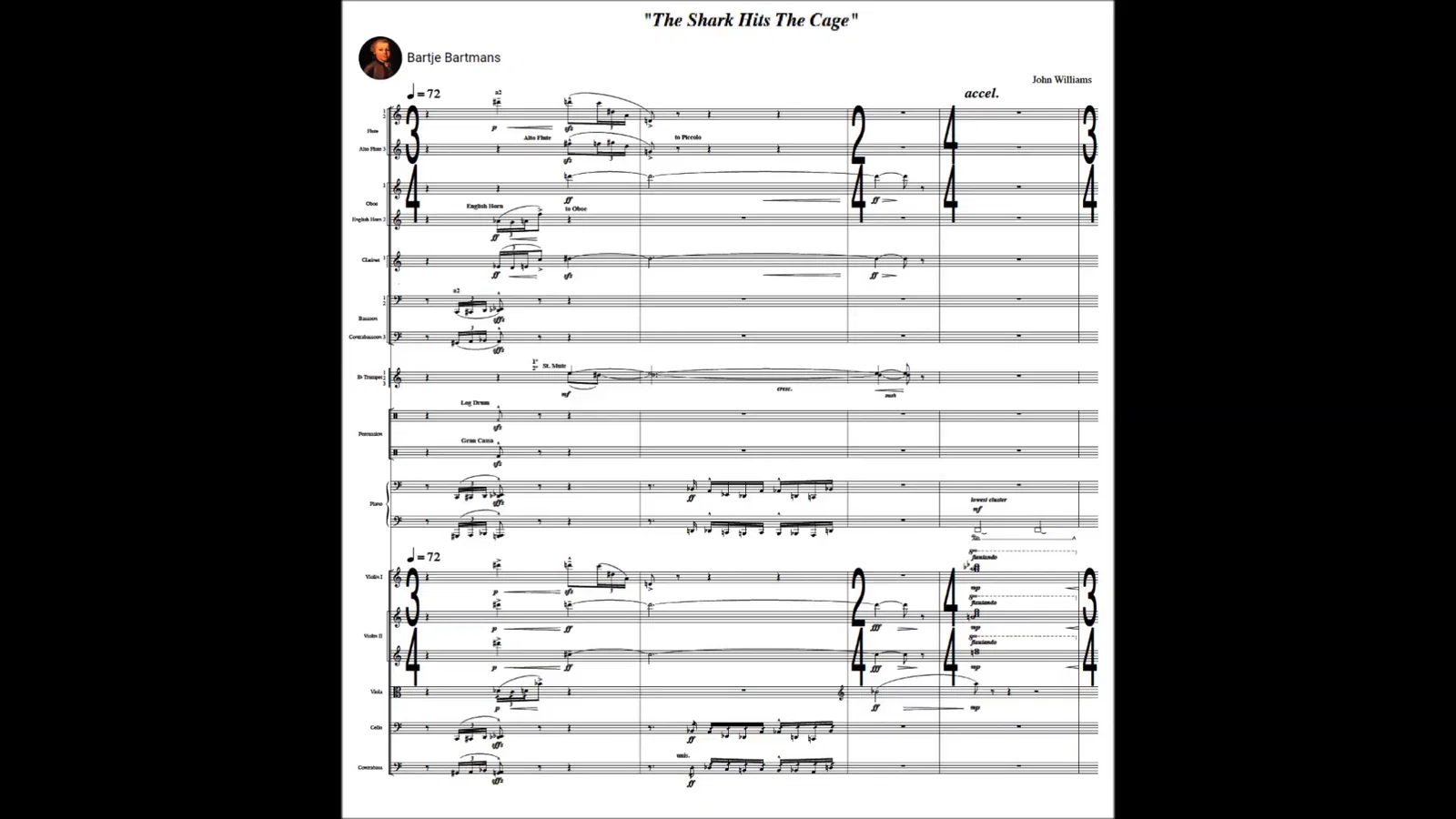 jAWS TRACKS shark hits the cage