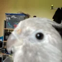 Fiori di carciofino 10 anni - Sound art work