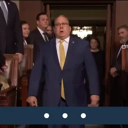 Trump Voice Reference