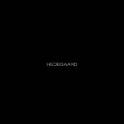 HEDEGAARD CANCUN - BAD GIRL Official Audio