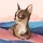 dverac24's display picture