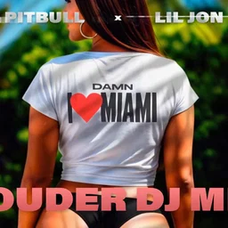 Pitbull & Lil Jon - Damn I Love Miami