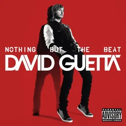 David Guetta - Without You Audio