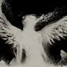 cabraxxxxxx's display picture