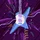 aliemad2004's display picture