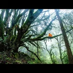 10 MINUTES- KRISHNA FLUTE MEDITATION MUSIC. MEDITATION & RELAXATION MUSIC - Sound art work