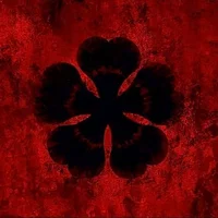 MIDNOCKS's display picture