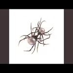 F**k The Girls (FTG) - Sound art work